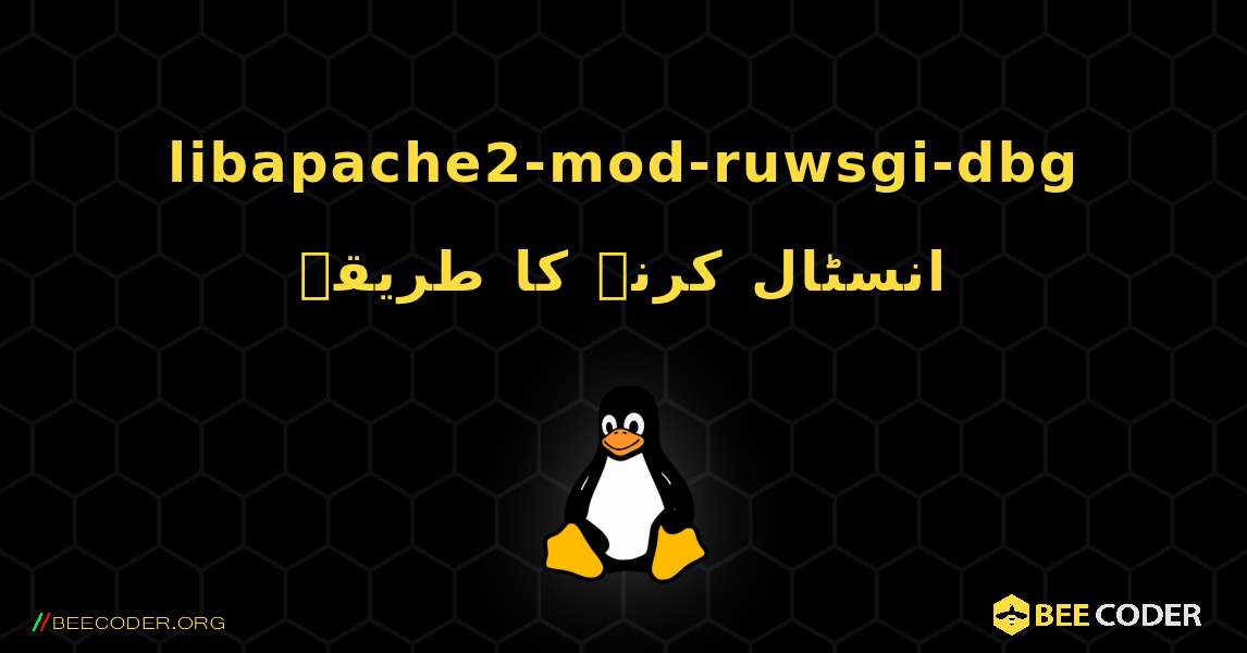 libapache2-mod-ruwsgi-dbg  انسٹال کرنے کا طریقہ. Linux