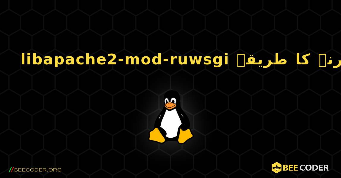 libapache2-mod-ruwsgi  انسٹال کرنے کا طریقہ. Linux