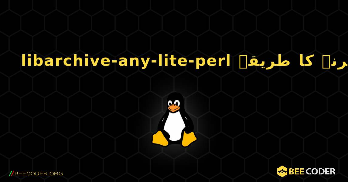 libarchive-any-lite-perl  انسٹال کرنے کا طریقہ. Linux