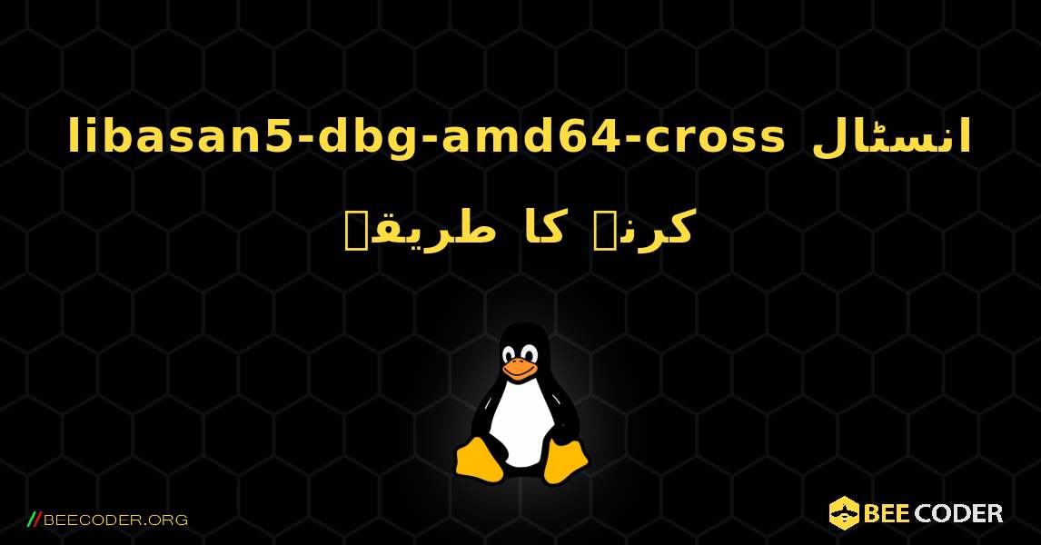 libasan5-dbg-amd64-cross  انسٹال کرنے کا طریقہ. Linux