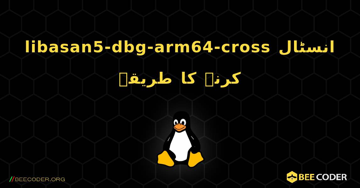 libasan5-dbg-arm64-cross  انسٹال کرنے کا طریقہ. Linux