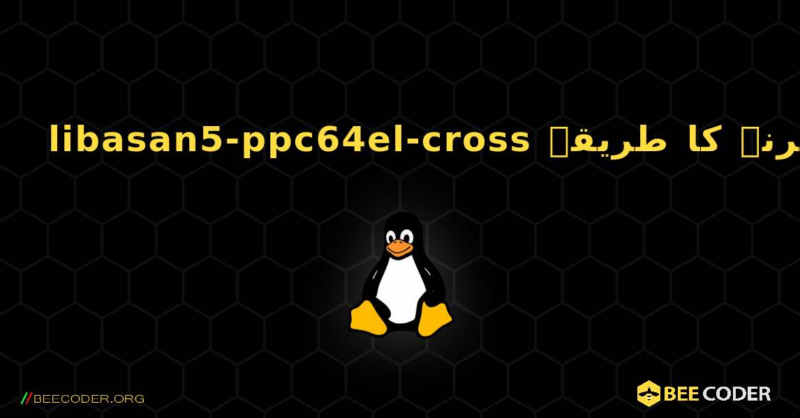 libasan5-ppc64el-cross  انسٹال کرنے کا طریقہ. Linux