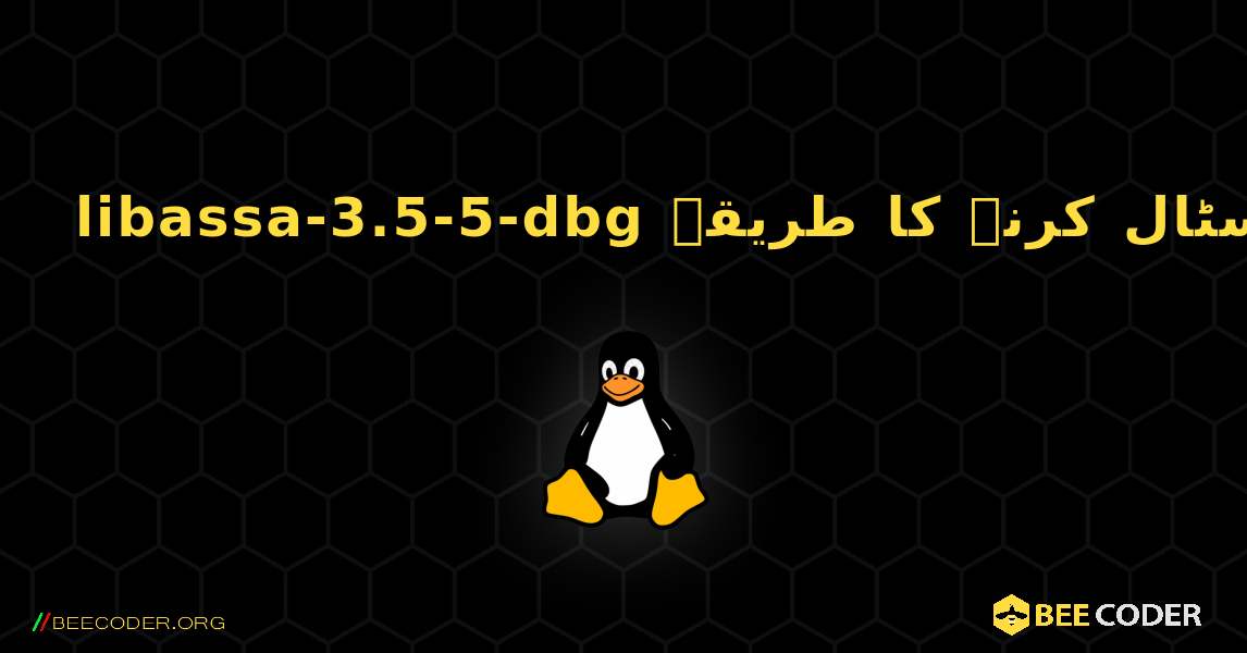 libassa-3.5-5-dbg  انسٹال کرنے کا طریقہ. Linux