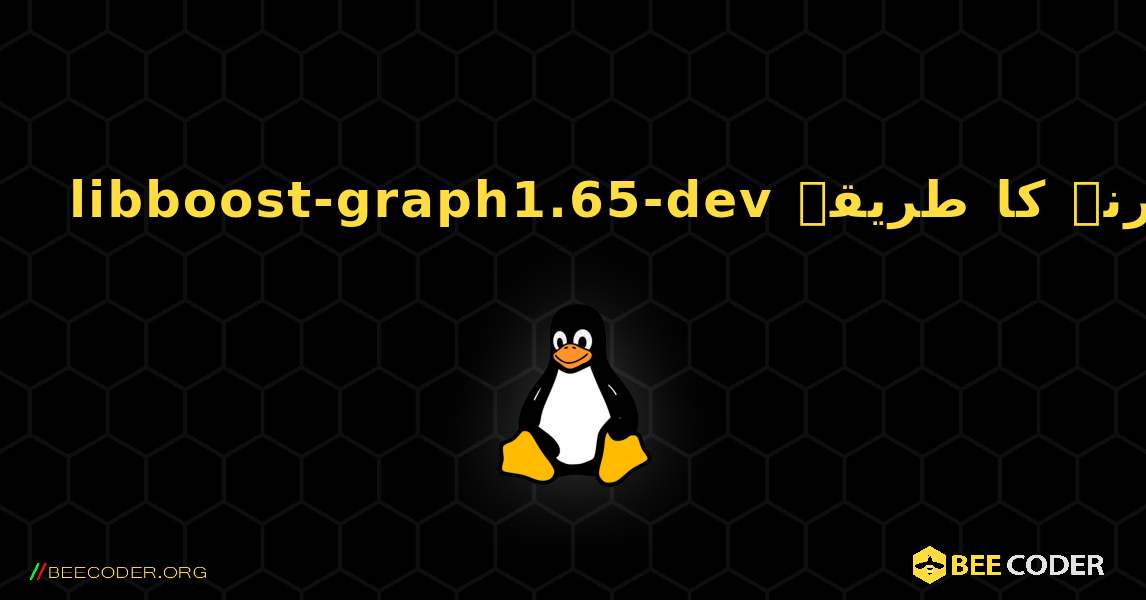 libboost-graph1.65-dev  انسٹال کرنے کا طریقہ. Linux