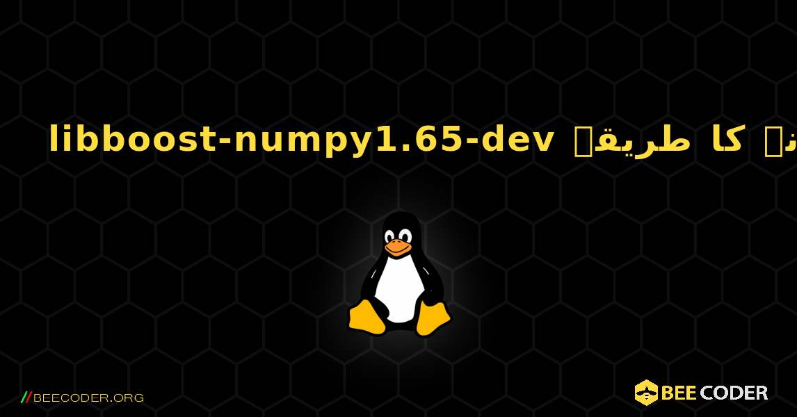 libboost-numpy1.65-dev  انسٹال کرنے کا طریقہ. Linux