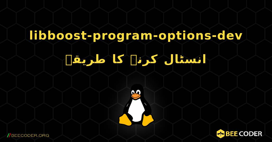 libboost-program-options-dev  انسٹال کرنے کا طریقہ. Linux