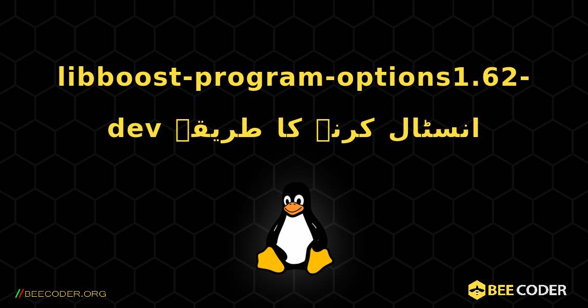 libboost-program-options1.62-dev  انسٹال کرنے کا طریقہ. Linux