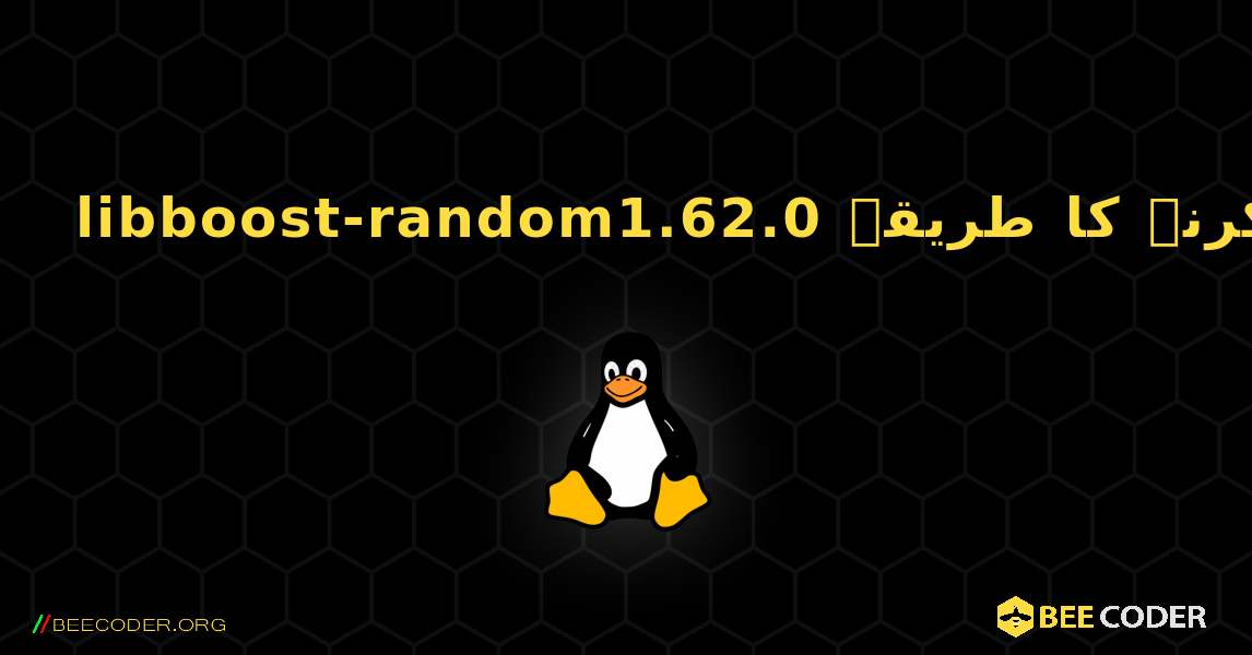 libboost-random1.62.0  انسٹال کرنے کا طریقہ. Linux