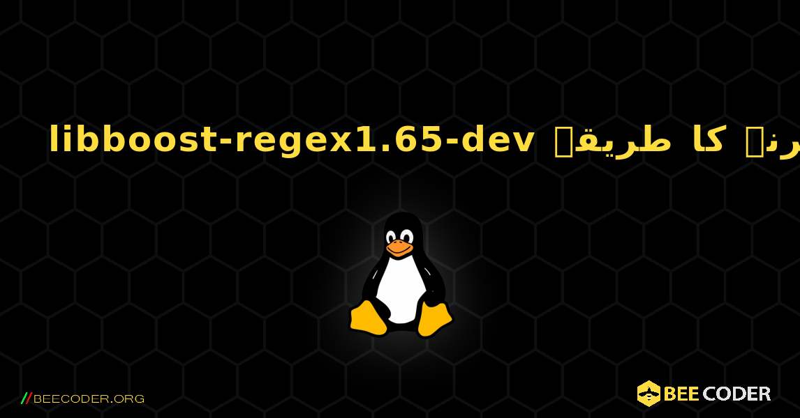 libboost-regex1.65-dev  انسٹال کرنے کا طریقہ. Linux