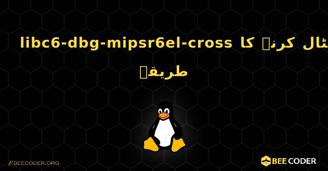 libc6-dbg-mipsr6el-cross  انسٹال کرنے کا طریقہ. Linux