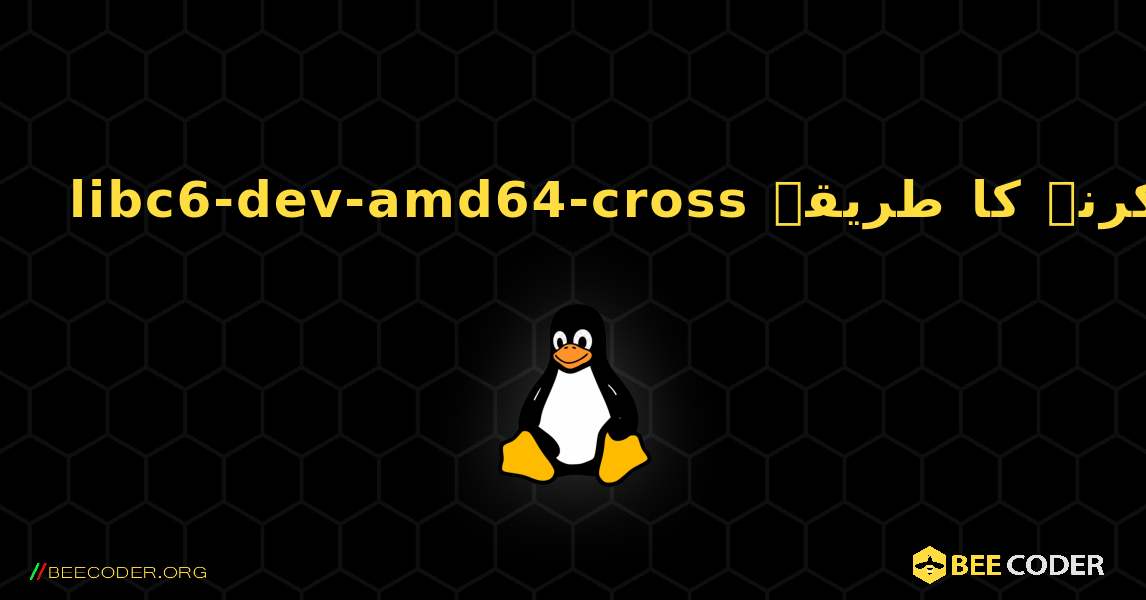 libc6-dev-amd64-cross  انسٹال کرنے کا طریقہ. Linux