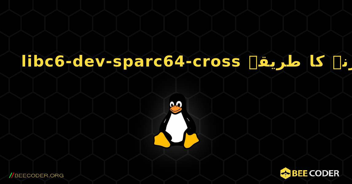 libc6-dev-sparc64-cross  انسٹال کرنے کا طریقہ. Linux