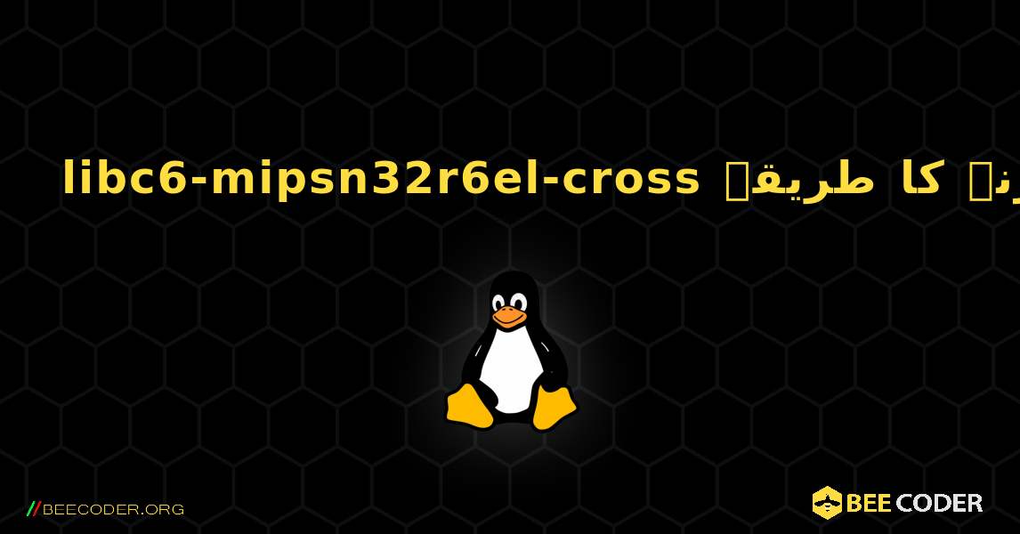 libc6-mipsn32r6el-cross  انسٹال کرنے کا طریقہ. Linux