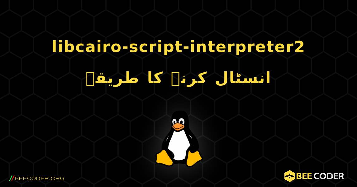 libcairo-script-interpreter2  انسٹال کرنے کا طریقہ. Linux