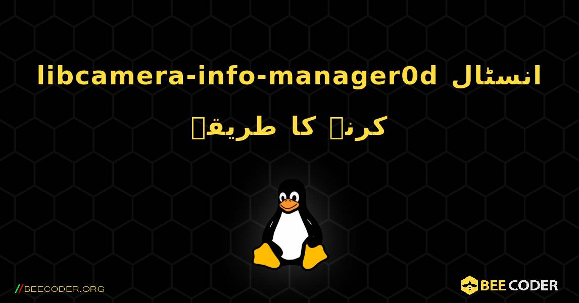 libcamera-info-manager0d  انسٹال کرنے کا طریقہ. Linux