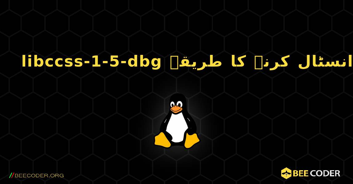 libccss-1-5-dbg  انسٹال کرنے کا طریقہ. Linux