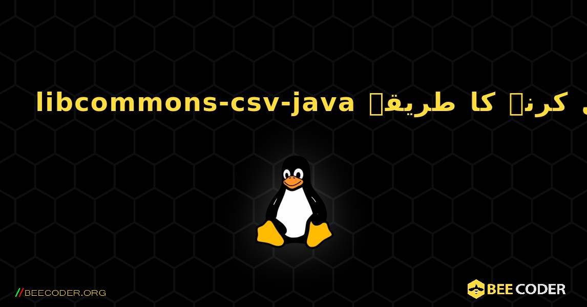 libcommons-csv-java  انسٹال کرنے کا طریقہ. Linux
