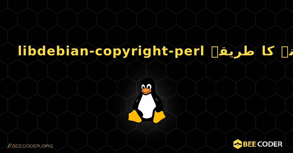 libdebian-copyright-perl  انسٹال کرنے کا طریقہ. Linux
