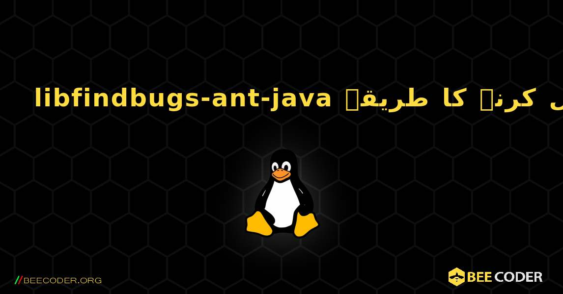 libfindbugs-ant-java  انسٹال کرنے کا طریقہ. Linux