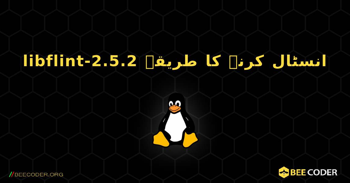 libflint-2.5.2  انسٹال کرنے کا طریقہ. Linux