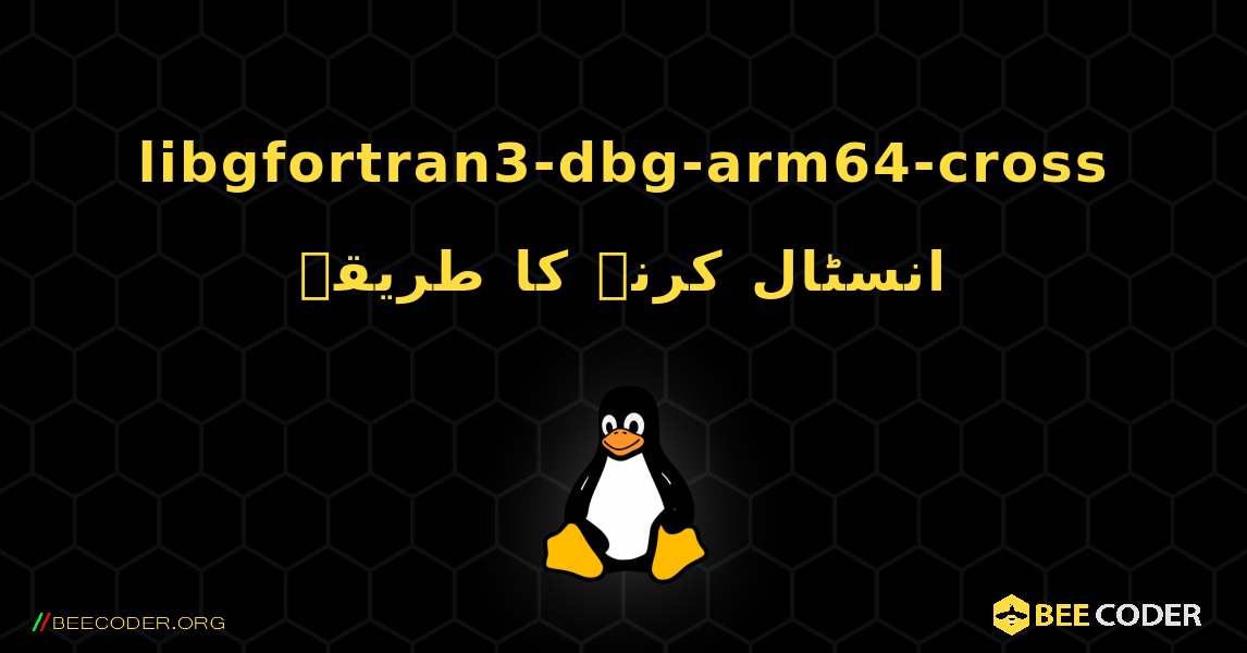 libgfortran3-dbg-arm64-cross  انسٹال کرنے کا طریقہ. Linux