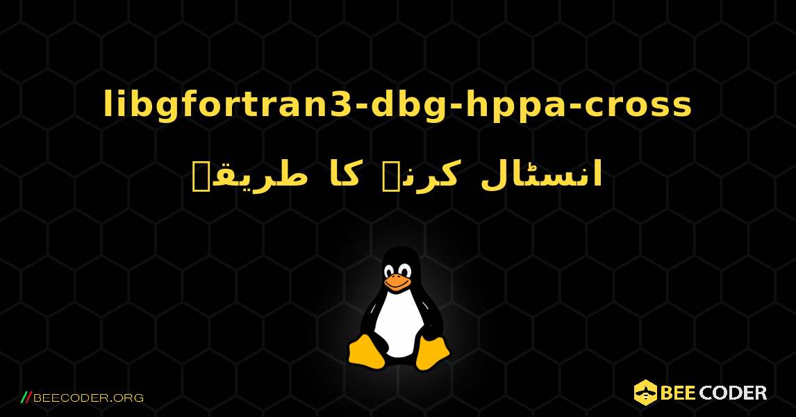 libgfortran3-dbg-hppa-cross  انسٹال کرنے کا طریقہ. Linux