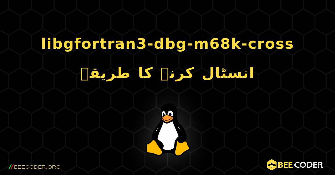 libgfortran3-dbg-m68k-cross  انسٹال کرنے کا طریقہ. Linux