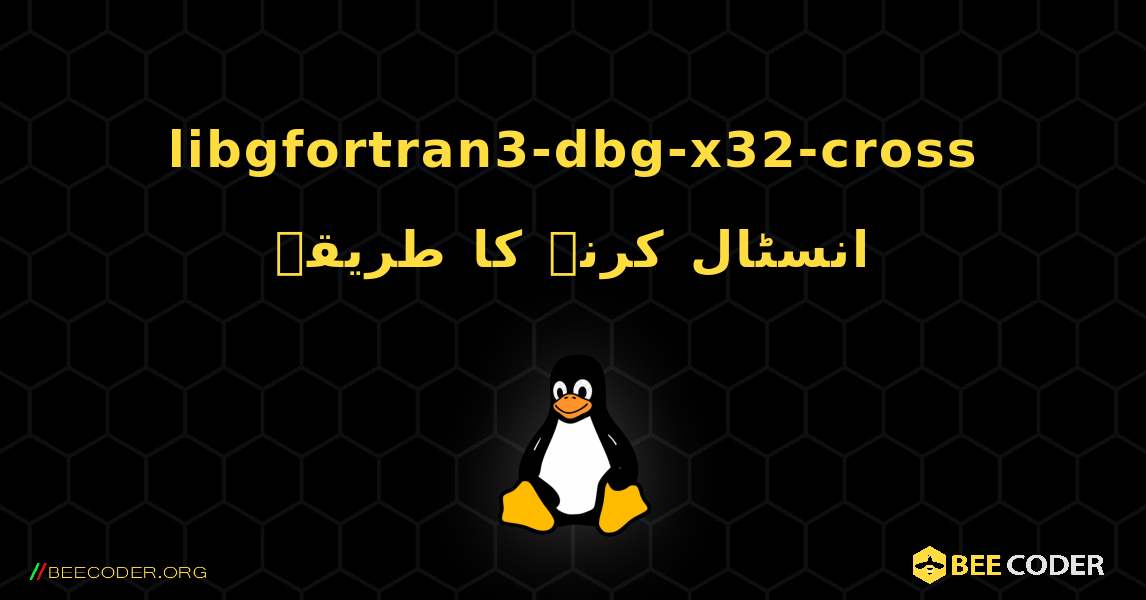 libgfortran3-dbg-x32-cross  انسٹال کرنے کا طریقہ. Linux