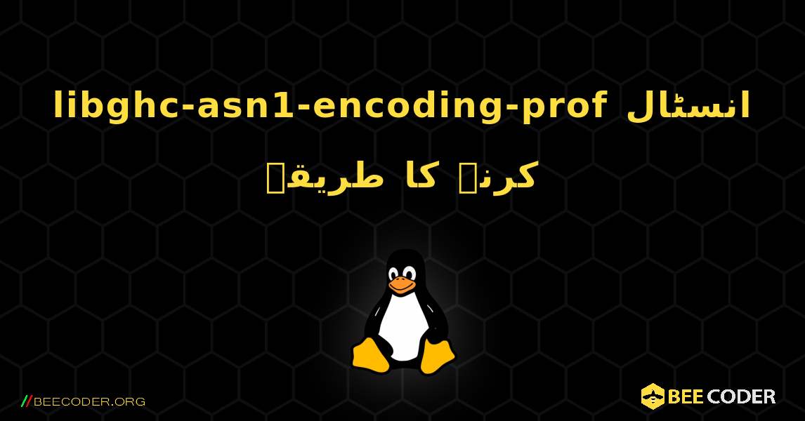 libghc-asn1-encoding-prof  انسٹال کرنے کا طریقہ. Linux
