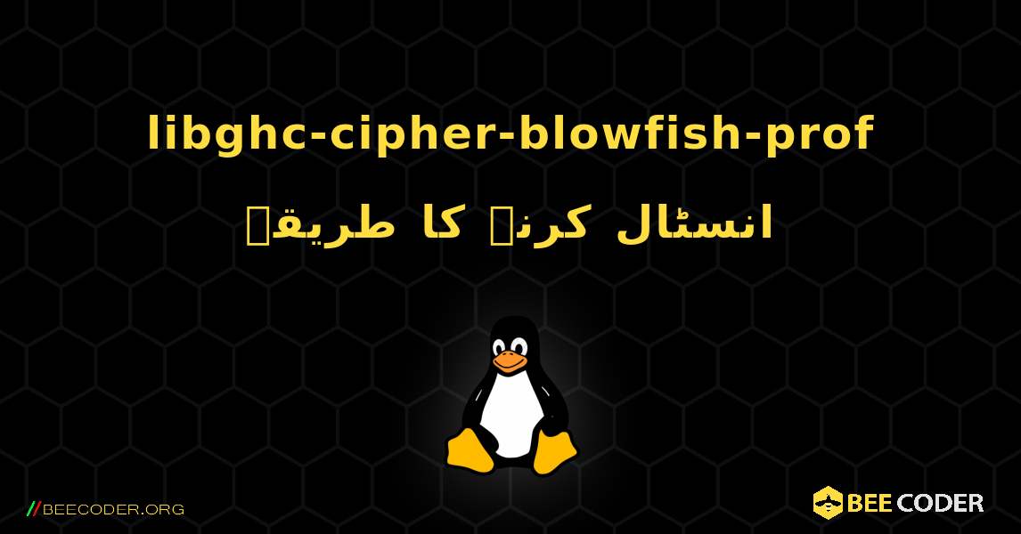 libghc-cipher-blowfish-prof  انسٹال کرنے کا طریقہ. Linux