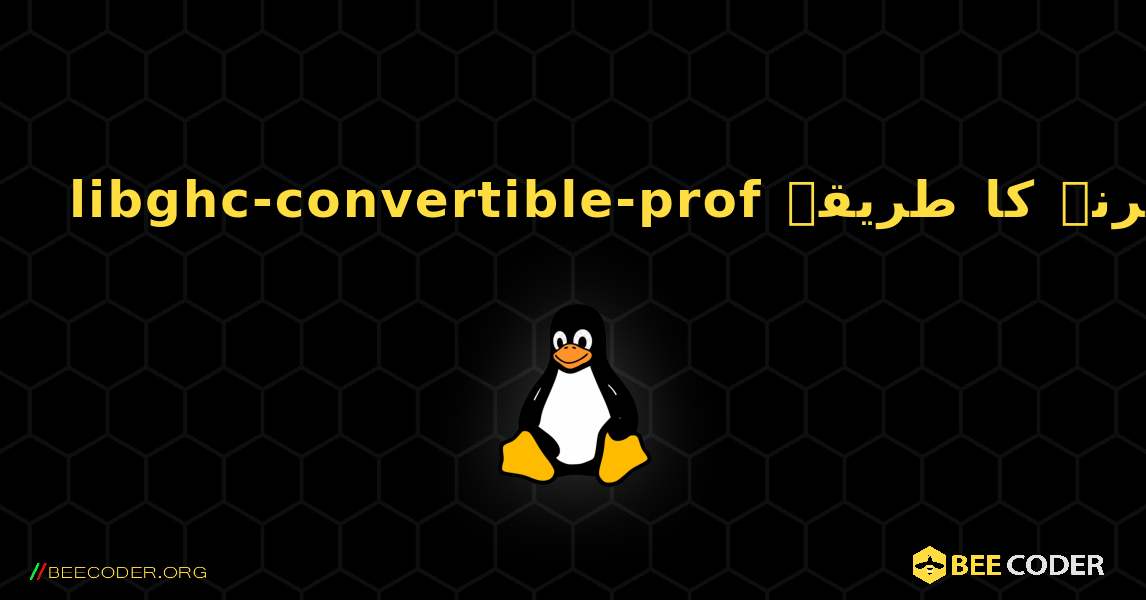 libghc-convertible-prof  انسٹال کرنے کا طریقہ. Linux