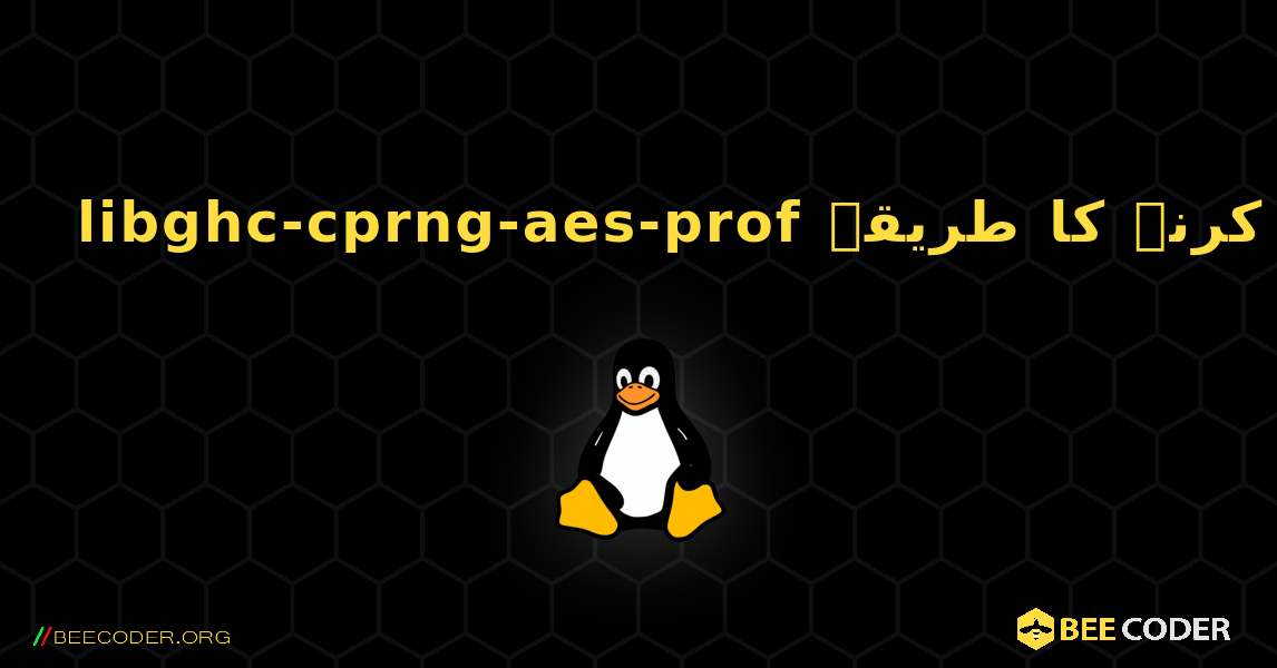 libghc-cprng-aes-prof  انسٹال کرنے کا طریقہ. Linux