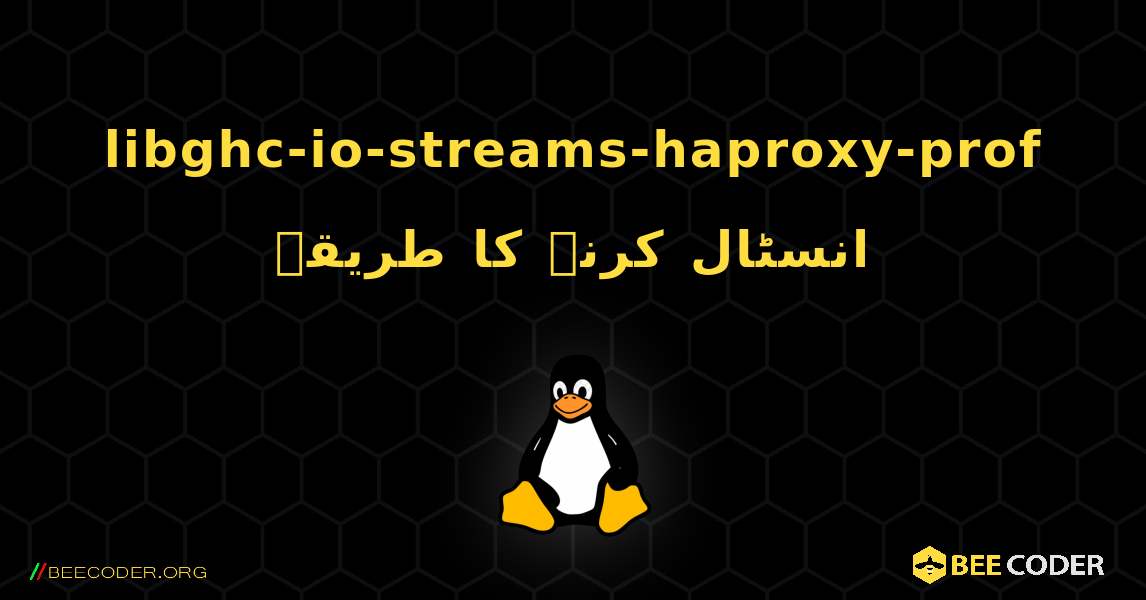 libghc-io-streams-haproxy-prof  انسٹال کرنے کا طریقہ. Linux