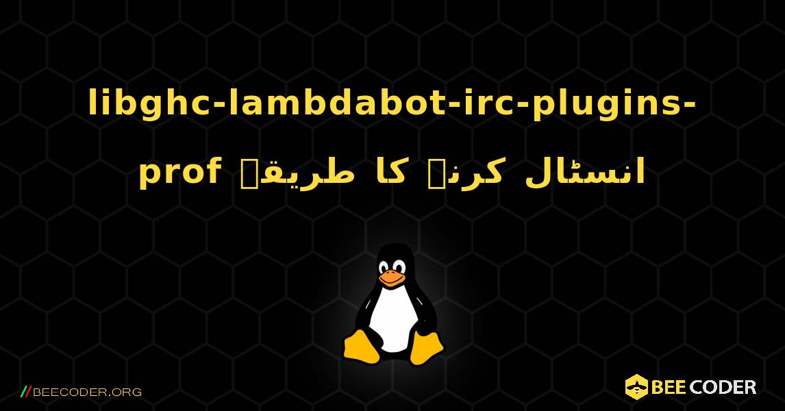 libghc-lambdabot-irc-plugins-prof  انسٹال کرنے کا طریقہ. Linux