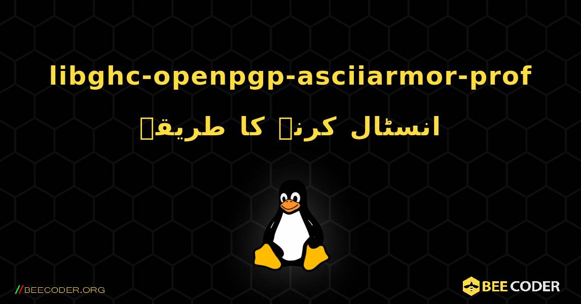 libghc-openpgp-asciiarmor-prof  انسٹال کرنے کا طریقہ. Linux