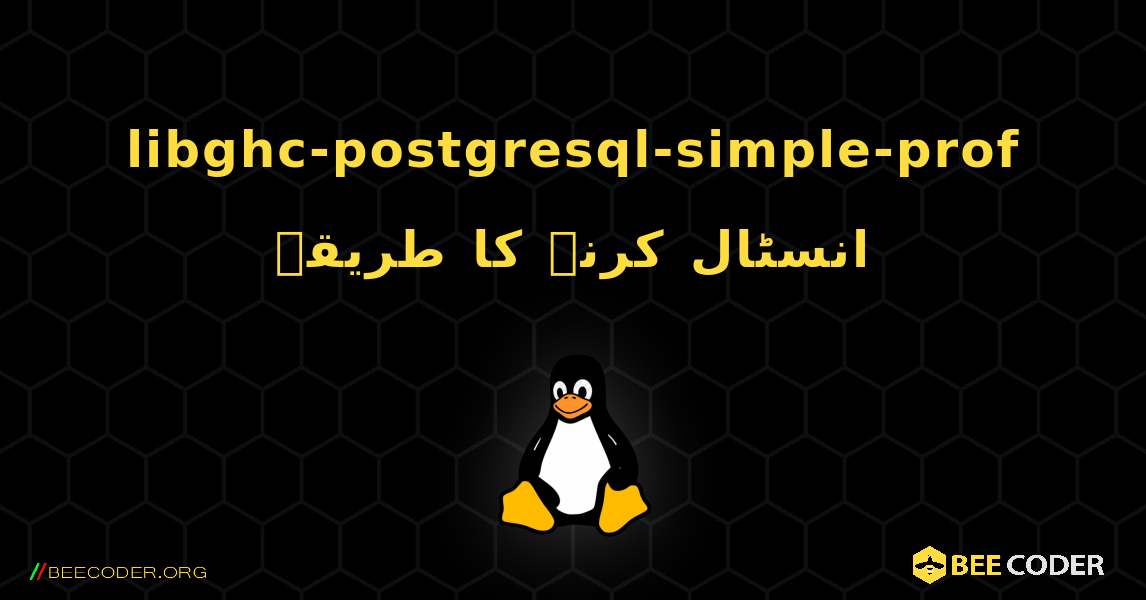 libghc-postgresql-simple-prof  انسٹال کرنے کا طریقہ. Linux