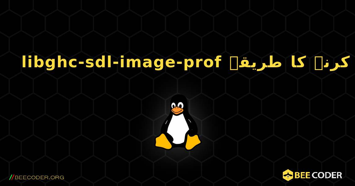 libghc-sdl-image-prof  انسٹال کرنے کا طریقہ. Linux