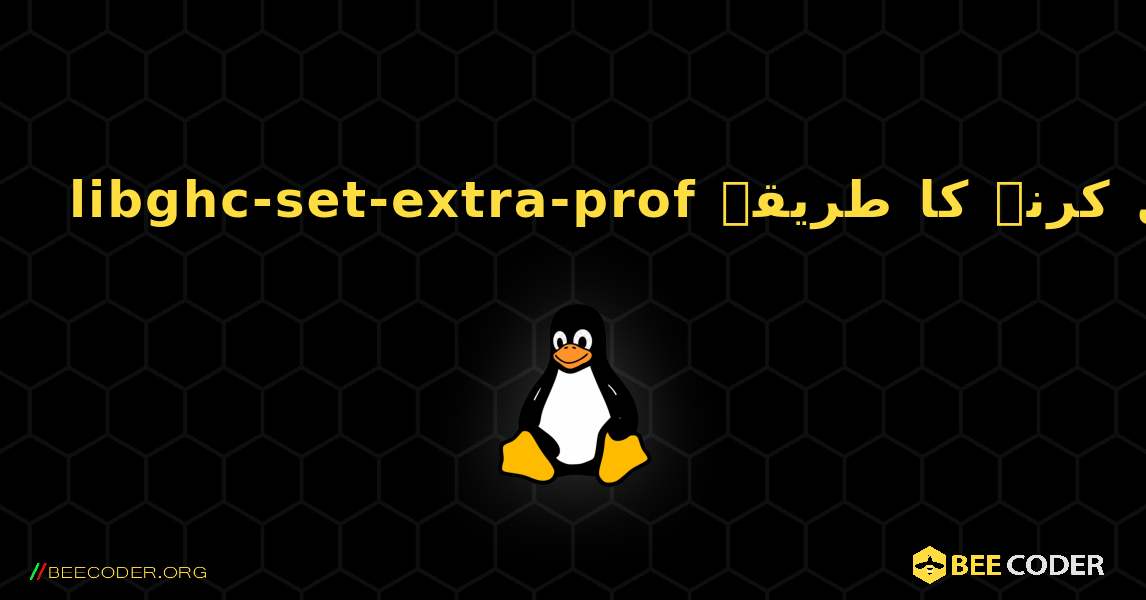 libghc-set-extra-prof  انسٹال کرنے کا طریقہ. Linux