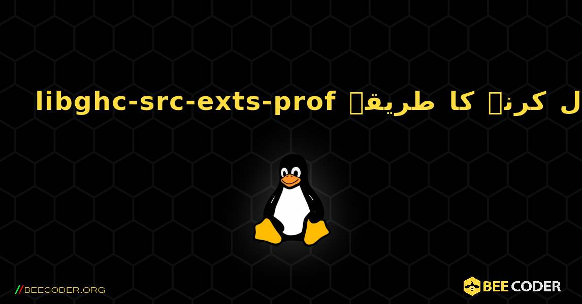 libghc-src-exts-prof  انسٹال کرنے کا طریقہ. Linux