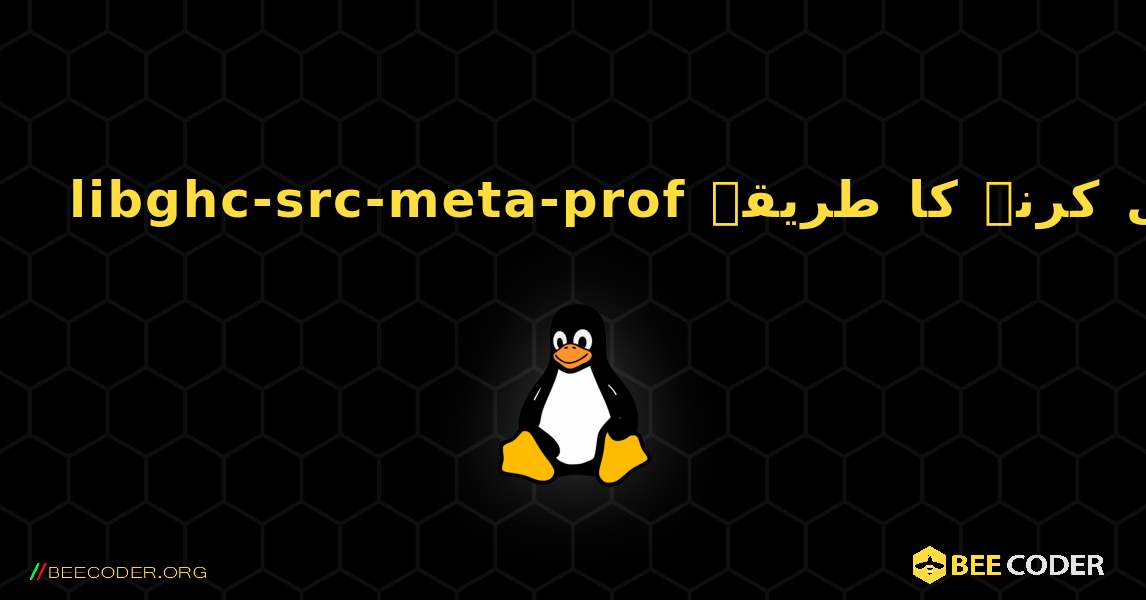 libghc-src-meta-prof  انسٹال کرنے کا طریقہ. Linux