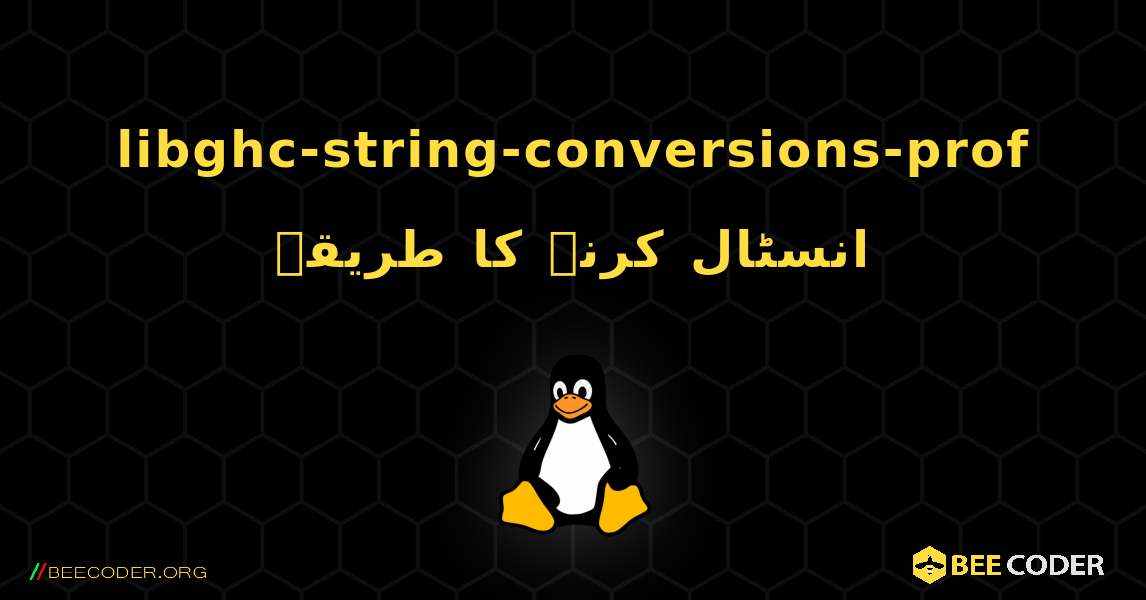 libghc-string-conversions-prof  انسٹال کرنے کا طریقہ. Linux