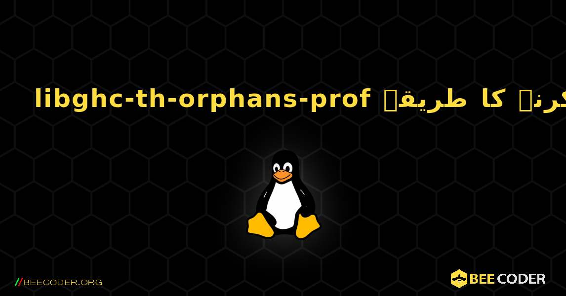 libghc-th-orphans-prof  انسٹال کرنے کا طریقہ. Linux