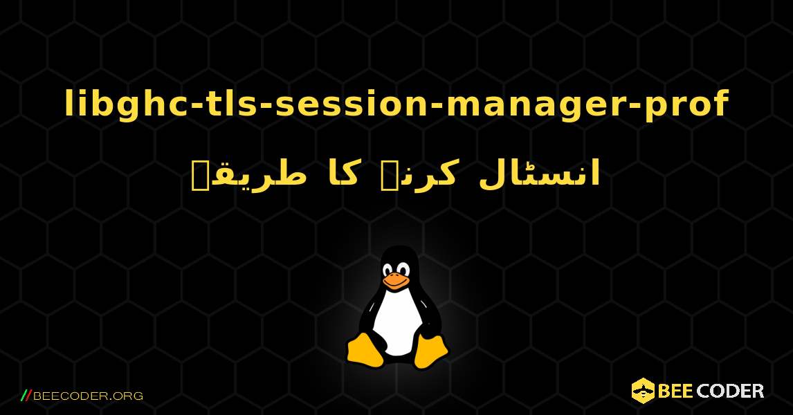 libghc-tls-session-manager-prof  انسٹال کرنے کا طریقہ. Linux