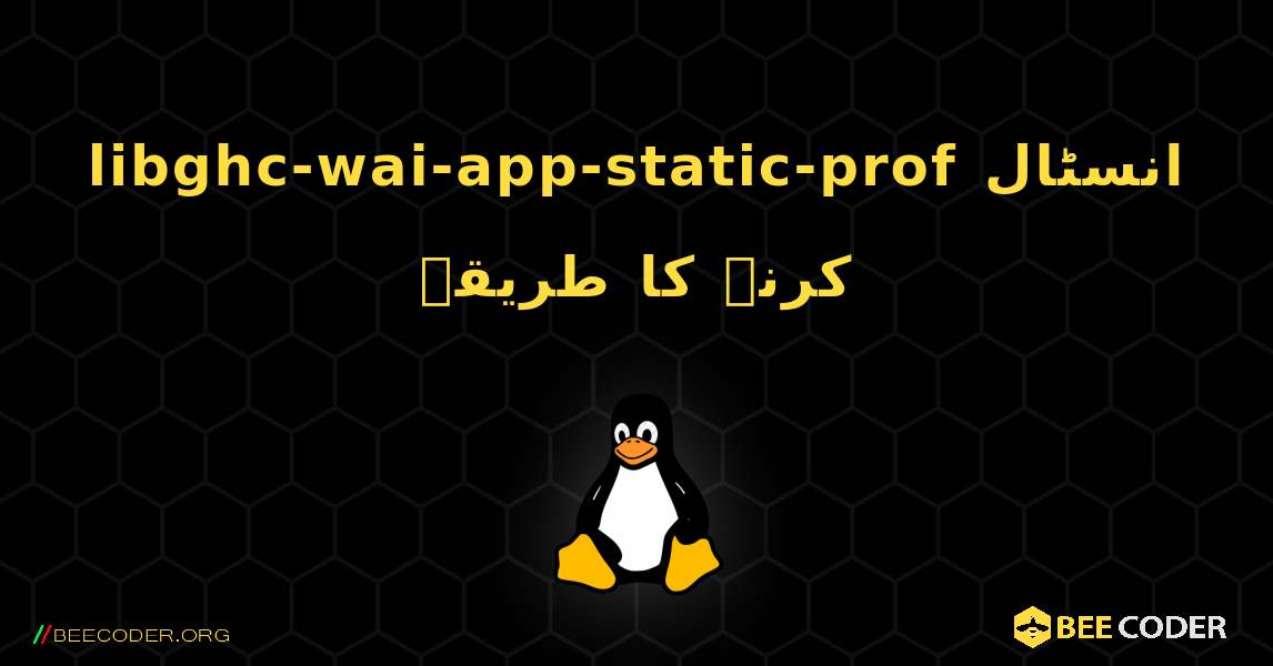 libghc-wai-app-static-prof  انسٹال کرنے کا طریقہ. Linux