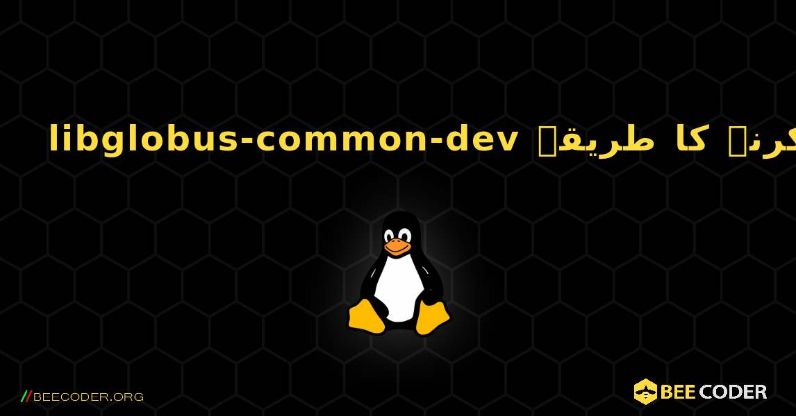 libglobus-common-dev  انسٹال کرنے کا طریقہ. Linux