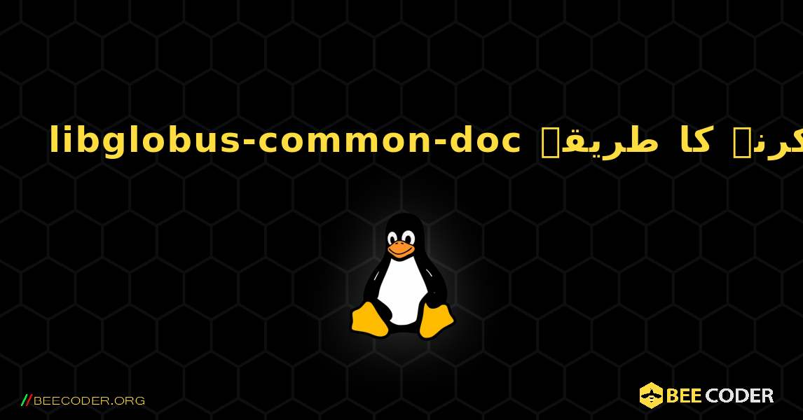 libglobus-common-doc  انسٹال کرنے کا طریقہ. Linux