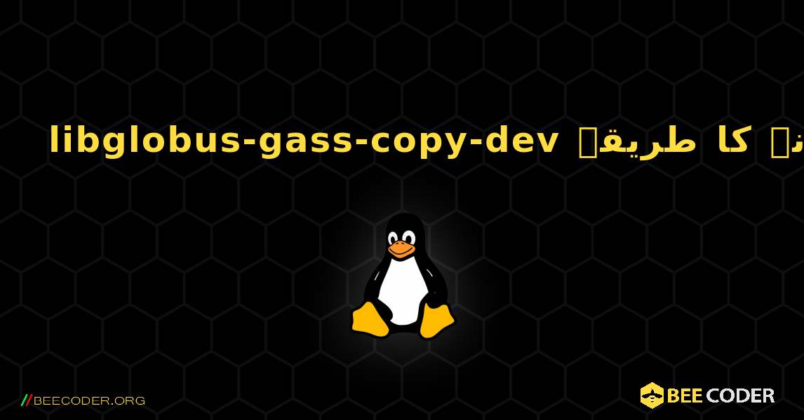 libglobus-gass-copy-dev  انسٹال کرنے کا طریقہ. Linux
