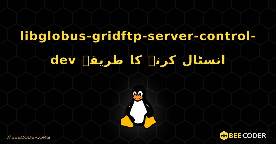 libglobus-gridftp-server-control-dev  انسٹال کرنے کا طریقہ. Linux