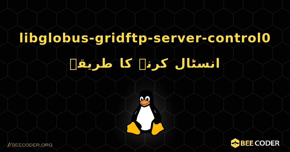 libglobus-gridftp-server-control0  انسٹال کرنے کا طریقہ. Linux