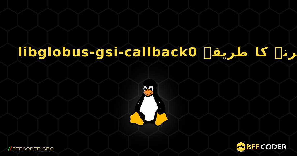 libglobus-gsi-callback0  انسٹال کرنے کا طریقہ. Linux